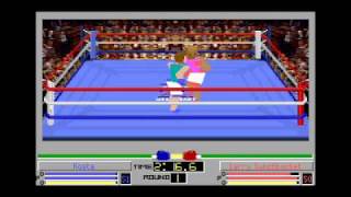 4D Sports Boxing for DOS