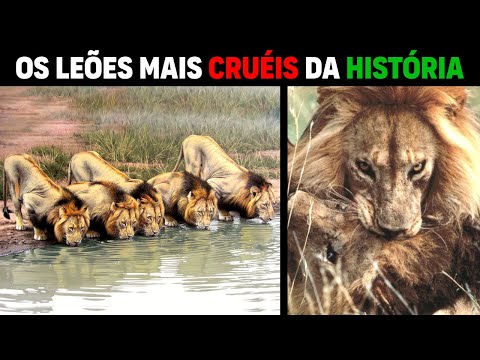 Lion - MAPOGOS THE MOST CRUELEST LIONS IN HISTORY