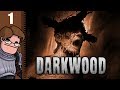 Let's Play Darkwood Part 1 - Prologue: The Doctor