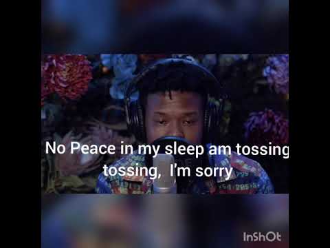 Nasty C - I'm Sorry (Lyrics) | From Lost Files