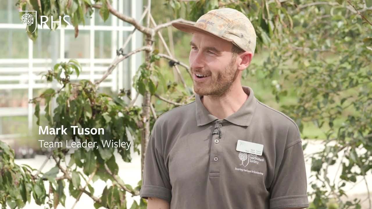 How to plant a tree in a container | Grow at Home | RHS