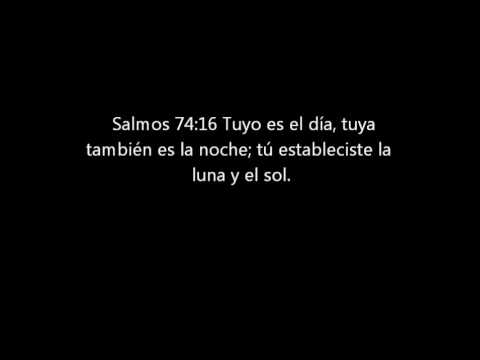 Estudio En Salmos 19