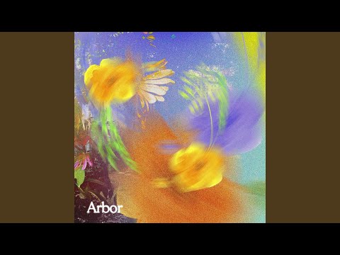Video thumbnail for Aster