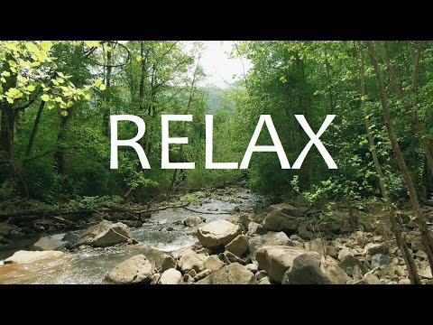 Release Regrets, Guilt, Fear, Anxiety, Inner Conflicts, And Struggles | Relaxing Sleep Forest Piano