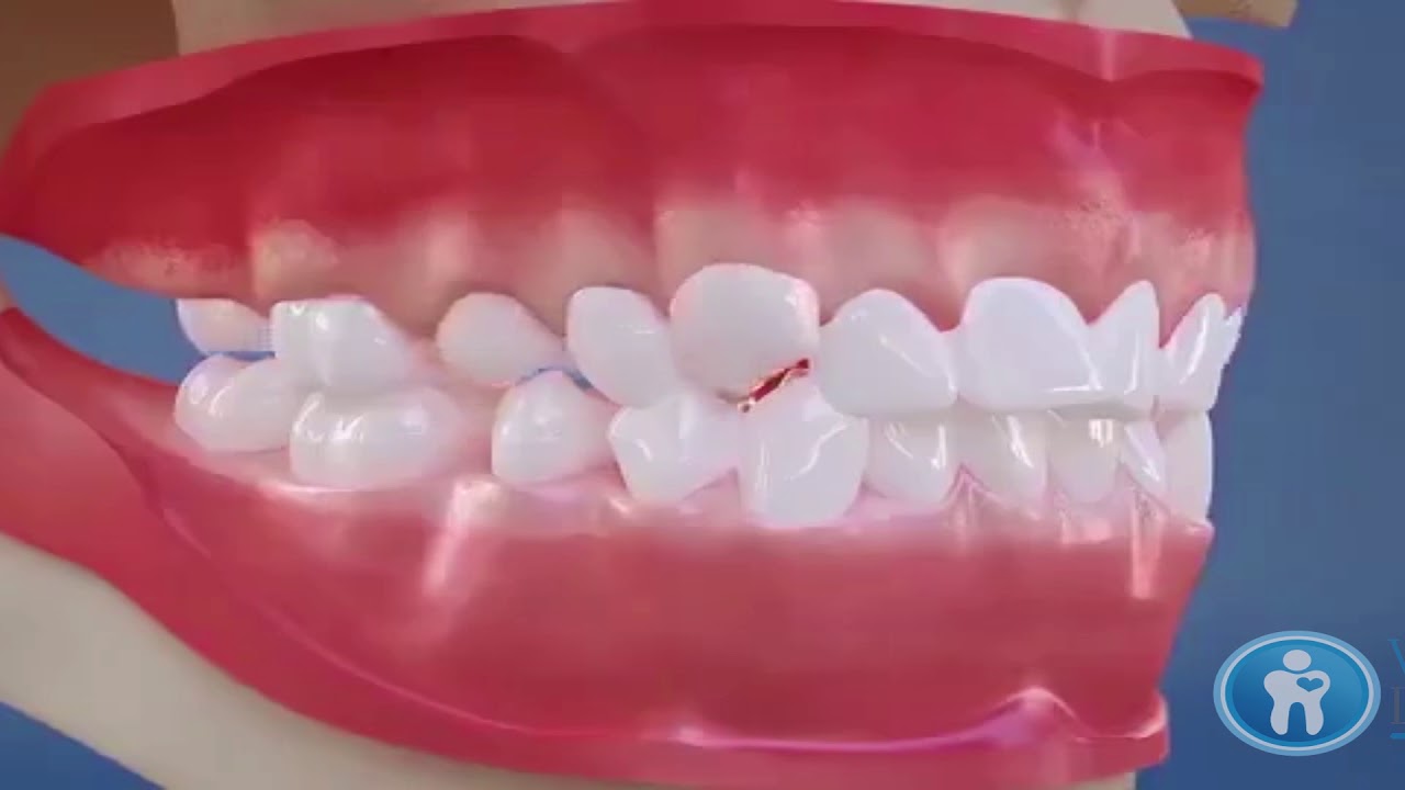 Leticia Hernández-37