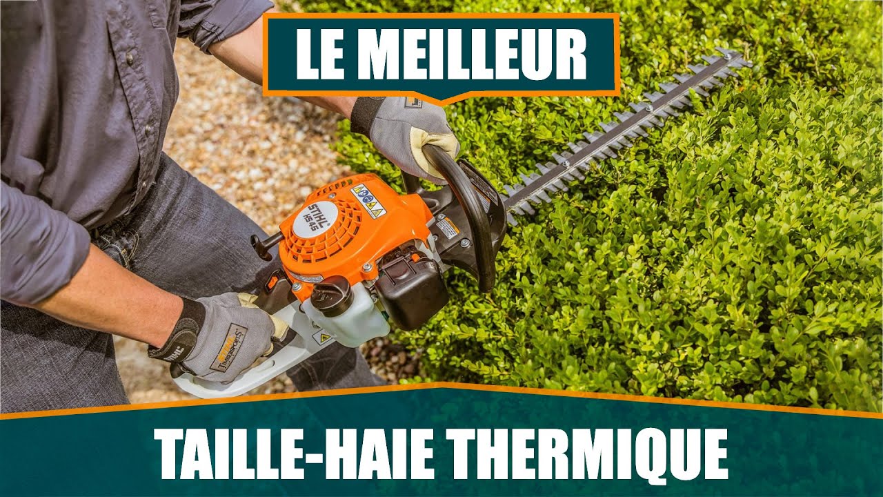 Taille-haie thermique STIHL