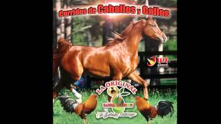 El profeta  / La Original Banda el Limon de Salvador Lizarraga