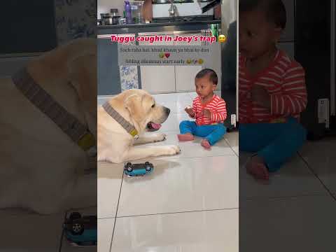 Tuggu caught in Joey’s trap 😵‍💫Soch raha hai… 🤣❤️#brotherhood #cutetrap #confusedbaby #trending