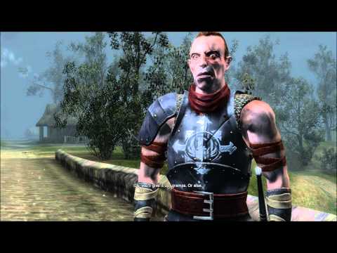 Let's Play The Witcher *blind*-Part 26-Evil Eye