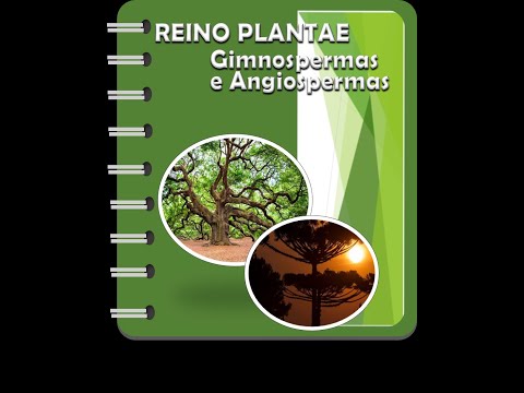 Gimnospermas e Angiospermas