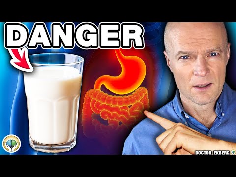Top 10 Most Harmful Foods That Destroy Your Gut!