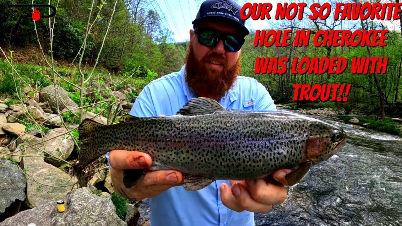 Our Not So Favorite Hole In Cherokee That Was Loaded With Trout