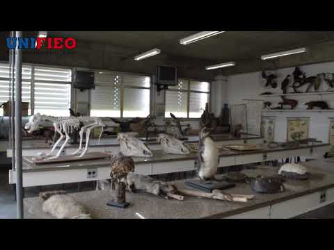 UNIFIEO, o seu centro universitário