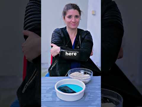 How to SAVE a water-damaged PHONE!