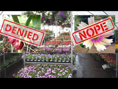 10 More Plants You Won't Find in Big Box Garden Centers