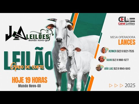 Mega Leilão 3 Anos JA Leilões - 25/01/2026