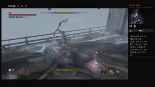 のんびりSEKIRO