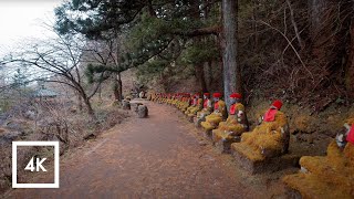 Rainy Day Nature Walk in Nikko, Japan, Relaxing Nature Sounds | 4K