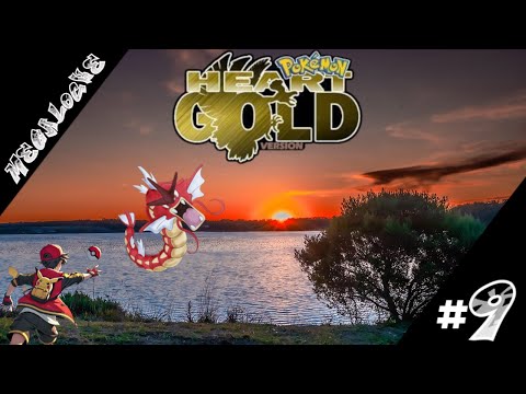 LIADA MONSTRUOSA. POKEMON ORO EP 9 MEGALOCKE