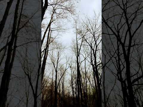 Rightside Up or Upside Down?