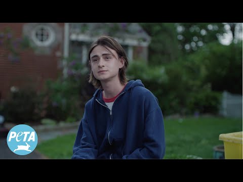 "It" Star Jaeden Martell Explains Why All Cats Should Be Kept Indoors