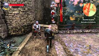 The Witcher 3: Perfect Lookout