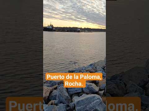 Lo que encontramos en el Puerto de La Paloma! #LaPaloma #Rocha #Uruguay #motorhome #familia #vanlife
