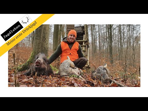 Drückjagd in Hessen