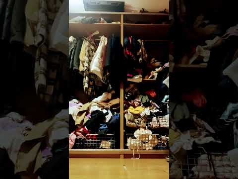 5 de novembro de 2024