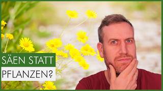 Diese 10 Pflanzen keimen garantiert – und füttern eine Unmenge an Insekten - son