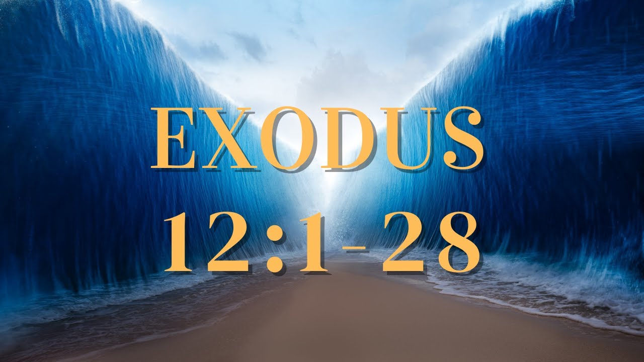 12/11/22 (Exodus 12:1-28) Participating in The Passover
