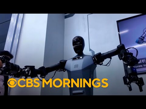 Robots powered by AI could soon be part of daily life, MIT professor says