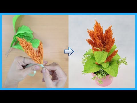 How To Make Celosia Paper Flower From Crepe Paper | DIY Paper Celosia Flowers