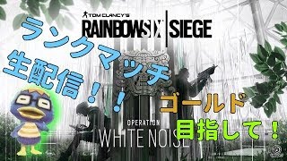 【R6S】ランクorカジュアル　今年最後のレインボーシックスシージ