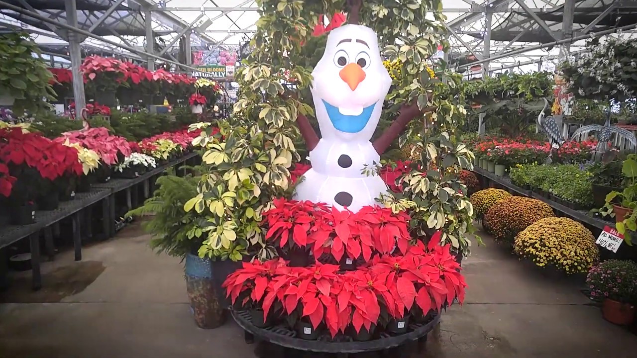 Proctor Ace Hardware 2019 Christmas Decorations