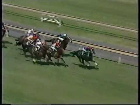 Vite Cheval beating River Rough - 1985 Futurity Stakes