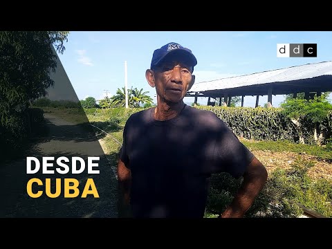 'No hay seguridad y la Policía no hace nada': la violencia se impone en la vida de los cubanos
