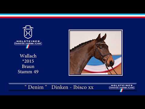 Holsteiner Frühjahrsauktion 2019 | Nr. 125 - Denim v. Dinken - Ibisco xx