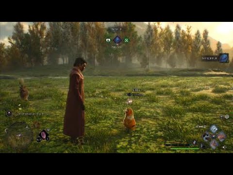 Hogwarts Legacy Combat Compilation and a Niffler Clip