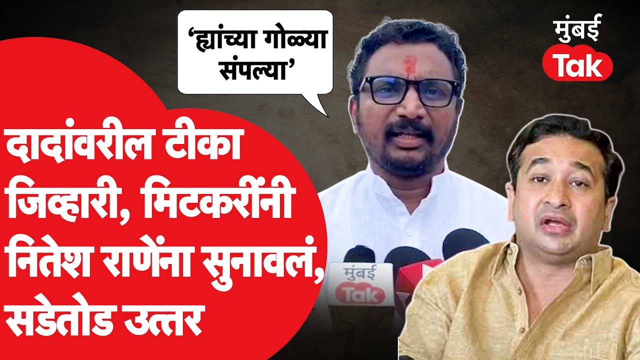 Ajit Pawar यांच्यावर Nilesh Rane यांची टीका, Amol Mitkari संतापले, थेट बोलले | Devendra Fadnavis