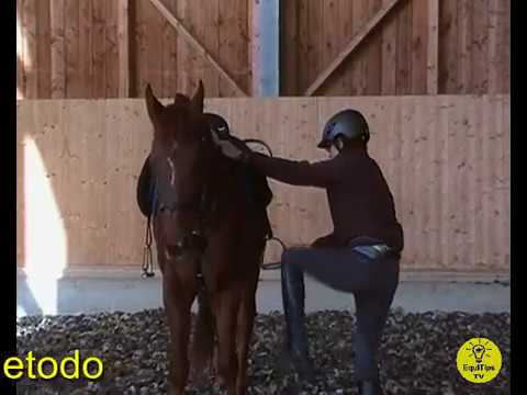 Come montare a cavallo: salire in sella in 6 modi diversi