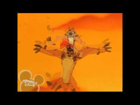 Timon vs. Pimon feat. Shenzi-  Better than Revenge