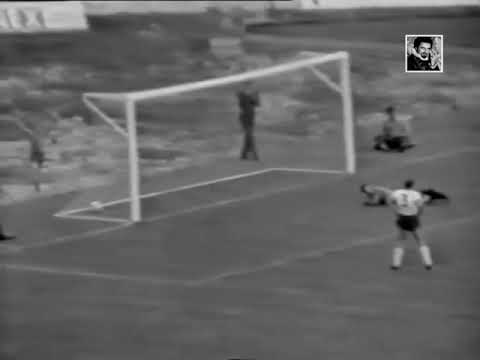 Crvena Zvezda - FK Sarajevo 1:2 (1968.)