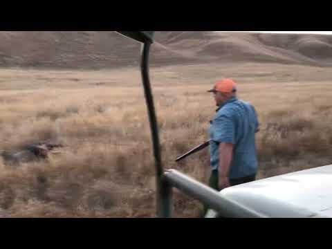 Wild Hog Charged Me Hunting - Fast follow up shots with Marlin 1894 Cowboy in 44 Mag - Graphic