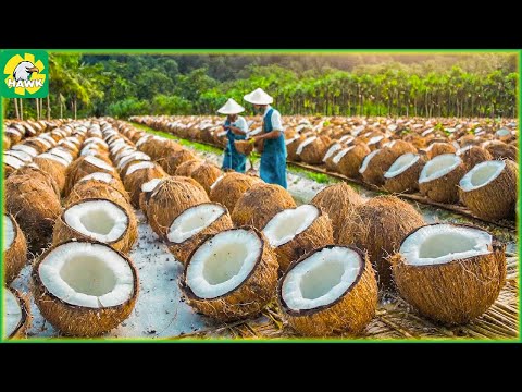 Farming Documentary ???? Harvest Coconuts - Coconut OIL Production Process at The Factory