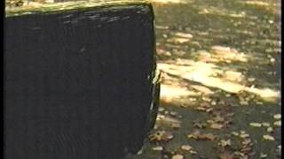 The Mighty Mighty Bosstones-Hope I Never Lose My Wallet/Lights Out[Live 1998] Part 3/3