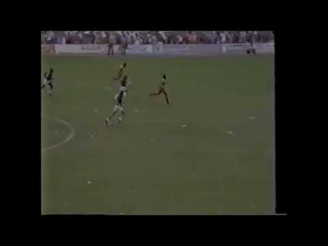 Brusque 1 x 0 Avaí - Brusque Campeão Catarinense de 1992