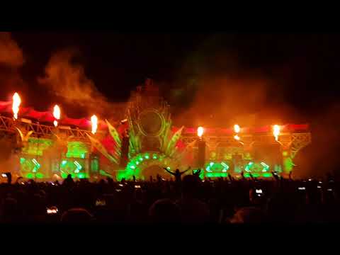 The Qontinent - Decade of Dedication | Endshow saturday (Official )