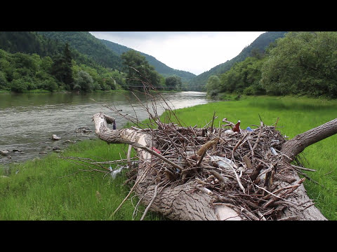 Beautiful #Borjomi #Georgia Город Боржоми