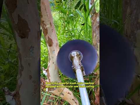 Extreme Brush Cutter with Circular Saw Blade | Cutting Trees Like a Chainsaw.